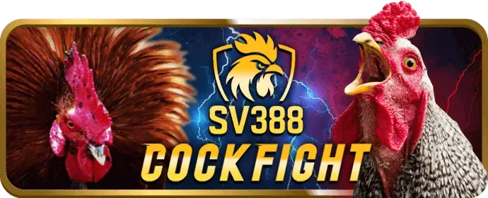 Link vào SV88TV link vào mới nhất